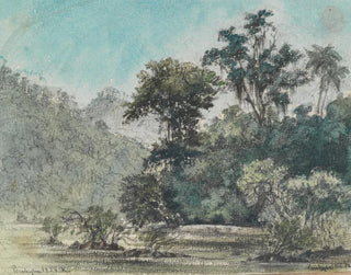 Vy över den skogsklädda flodstranden - Ferdinand Keller — vy av konstverket