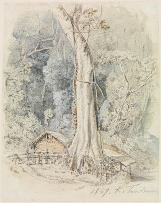 Ferdinand Keller - Haus mit Unterstand im Urwald bei TresBarras.webp