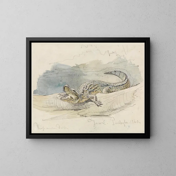 Studie av en alligator - Ferdinand Keller — inramlat konstverk på väggen