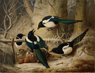 Ferdinand von Wright - Magpies Round A Dead Female Capercaillie.webp