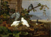Pigeons - Ferdinand von Wright — vy av konstverket