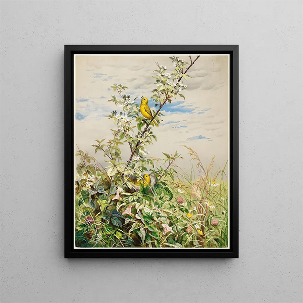 Fidelia Bridges - June.webp