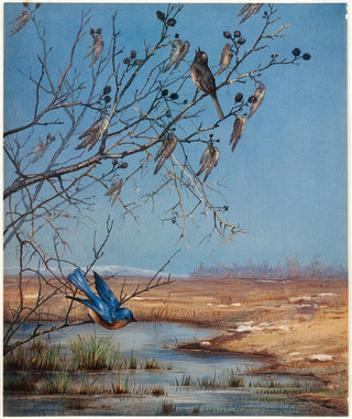 Fidelia Bridges - March.webp