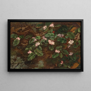 Fidelia Bridges - Trailing Arbutus.webp
