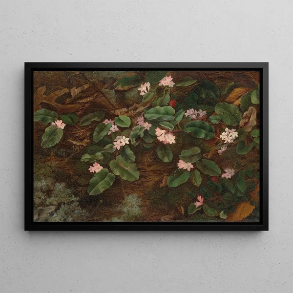 Fidelia Bridges - Trailing Arbutus.webp