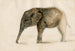 Petit éléphant - Floris Verster — vy av konstverket