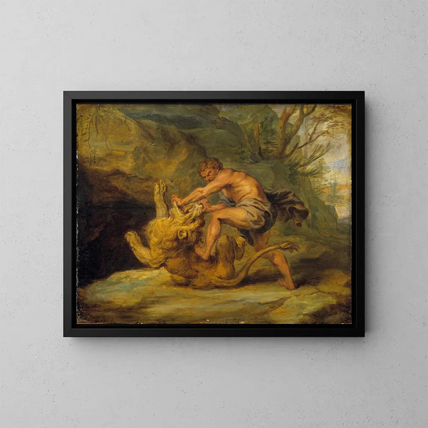 Studie av Samson och lejonet - Peter Paul Rubens skola — inramlat konstverk på väggen