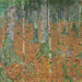 föräldra skog av björkar - Gustav Klimt — vy av konstverket
