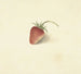 Fraise - Elisabeth Geertruida van de Kasteele — vy av konstverket