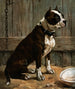 Terrier sittande - Frances Townsend — vy av konstverket