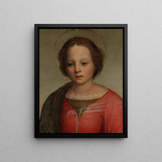 Franciabigio - Head of the Madonna.webp