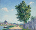 Le peuplier, solseffekt i Villeneuve-sur-Yonne - Francis Picabia — vy av konstverket