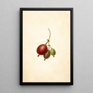 Frank Muller - Ribes Mountain.webp