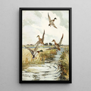 Frank Weston Benson - Rising Mallard.webp