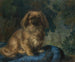 Pékinois - François-Charles Cachoud — vy av konstverket