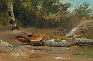 Franois Diday - Forest with Tree Trunk Ljsle.webp