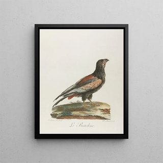 Franois Levaillant - Le bateleur.webp