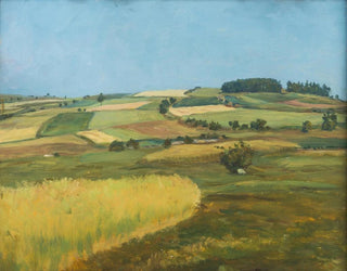 Frantiek Kavn - Mountain Fields.webp