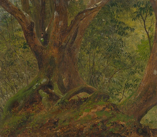 Frederic Edwin Church - In the woods Jamaica.webp