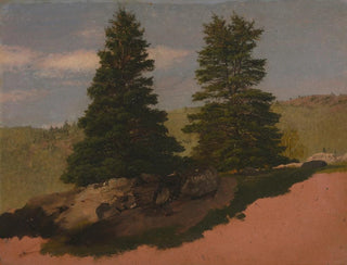 Frederic Edwin Church - New England Landscape Two Pine Trees.webp
