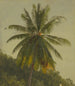 Palmiers Antilles - Frederic Edwin Church — vy av konstverket