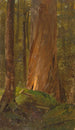 Studie i Maine-skogen - Frederic Edwin Church — vy av konstverket