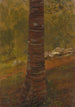 Tronc d'arbre - Frederic Edwin Church — vy av konstverket