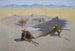 Lutte pour le point d'eau - Frederic Remington — vy av konstverket