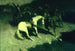 Under elden - Frederic Remington — vy av konstverket