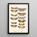 Insecta Lepidoptera Rhopalocera Pl 001 - Frederick DuCane Godman — inramlat konstverk på väggen