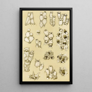 Frederick McCoy - Polyzoa XVII.webp