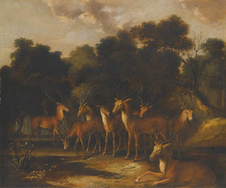 French School - Deer Standing In A Clearing At A Waterhole.webp