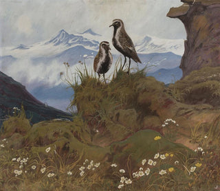 Friedrich Lissmann - Two birds in a mountain landscape.webp