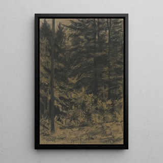 Friedrich Mook - Fir trees.webp