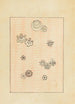 Bijutsukai Pl154 - Furuya Korin - Furuya Korin — vy av konstverket