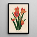 Amaryllis mexicana - Gaetano Savi — inramlat konstverk på väggen