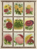 Calliopsis Canari vigne Canna Œillet - Genesee Valley Lithograph & Co.. — vy av konstverket