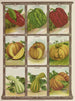 Citrouille - Genesee Valley Lithograph & Co.. — vy av konstverket