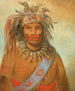 Stormfågel av Aunimmuckkwaum - George Catlin — vy av konstverket