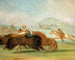 Baptiste och jag som springer vid buffelns mun i Yellowstone - George Catlin — vy av konstverket