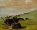 Bisons i ett vattengropp - George Catlin — vy av konstverket