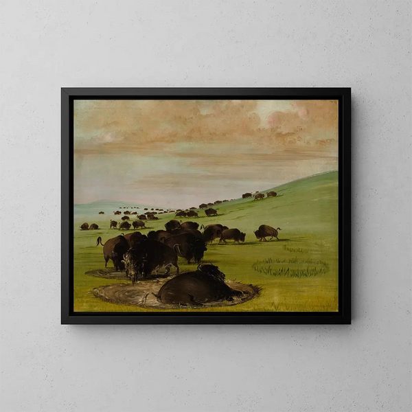 Bisons i ett vattengropp - George Catlin — inramlat konstverk på väggen