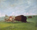 Jakt på buffeln, en enda död - George Catlin — vy av konstverket