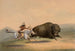 Jakt på bison nr 5 - George Catlin — vy av konstverket