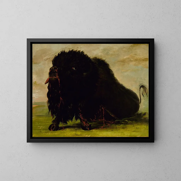 Bison som dör träffad av en pil - George Catlin — inramlat konstverk på väggen