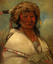 den store hjälten en chef - George Catlin — vy av konstverket