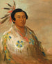 Heedohgeats en ung man - George Catlin — vy av konstverket
