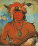 Hh-Je-Day-Ah-Shee Möte med modiga fåglar - George Catlin — vy av konstverket