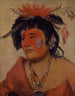 Pah-shee-nu-shaw en krigare - George Catlin — vy av konstverket
