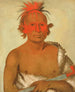 Pasheepah Little Stabbing Chief, den yngste av Black Hawks Braves - George Catlin — vy av konstverket